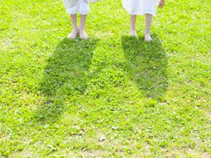 自然に囲まれた芦花公園近隣の保育施設