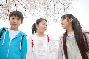 効果的な個別指導塾の選び方とは?充実したカリキュラムと質の高い指導法を徹底比較!